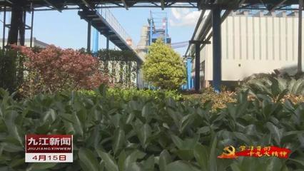 還長江一江清水一岸翠綠 九江打造長江最美岸線的園林景觀實踐