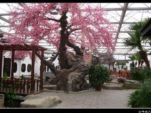 園林景觀工程中的花草設(shè)計(jì)與養(yǎng)護(hù)